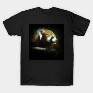 Red panda T-Shirt